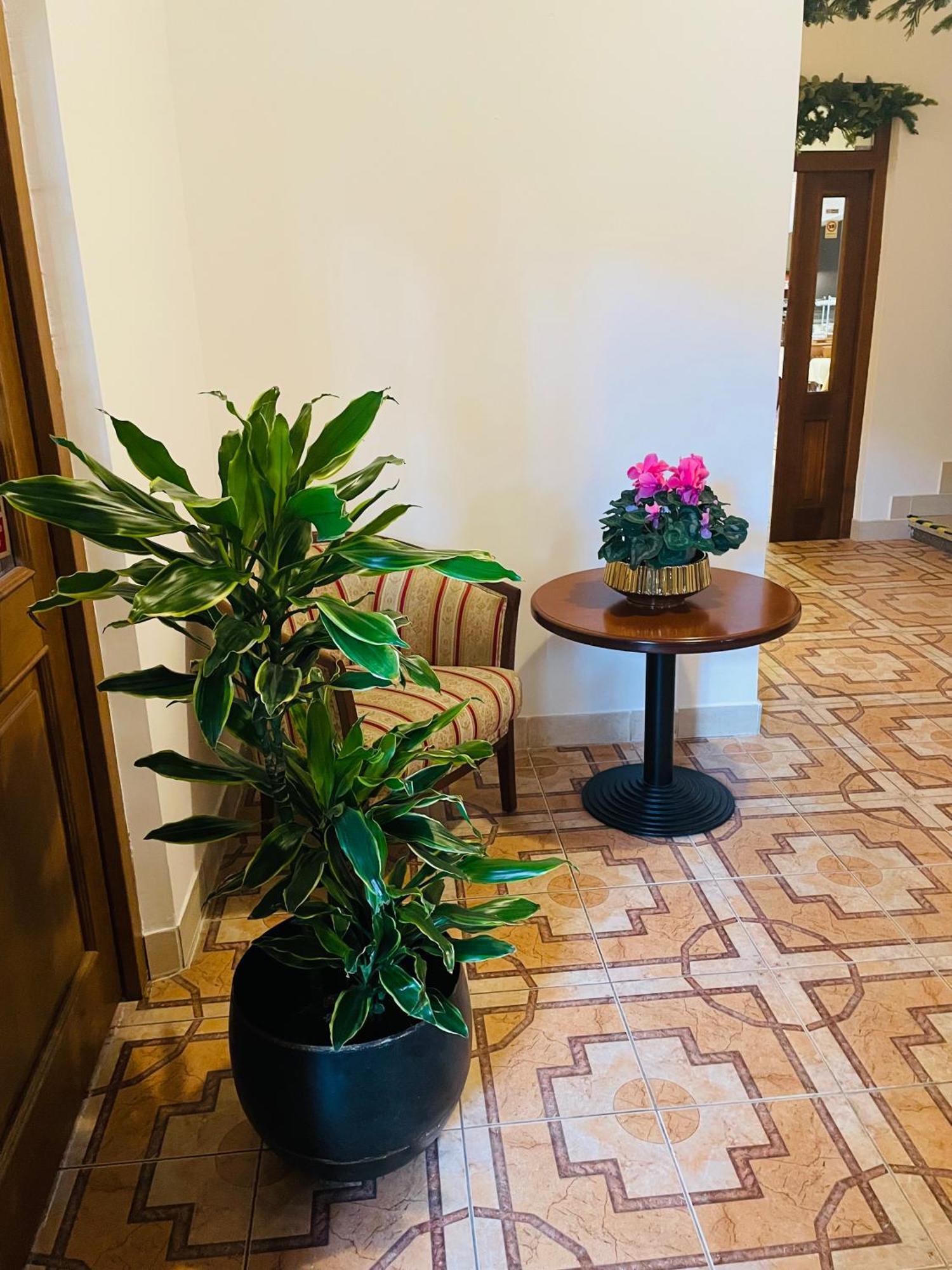 Hotel Majovey Žilina Extérieur photo